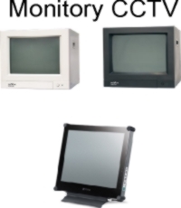 Monitory